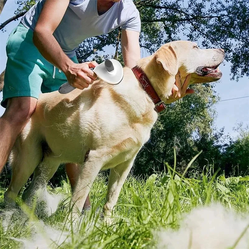 Spazzola per animali di compagnia