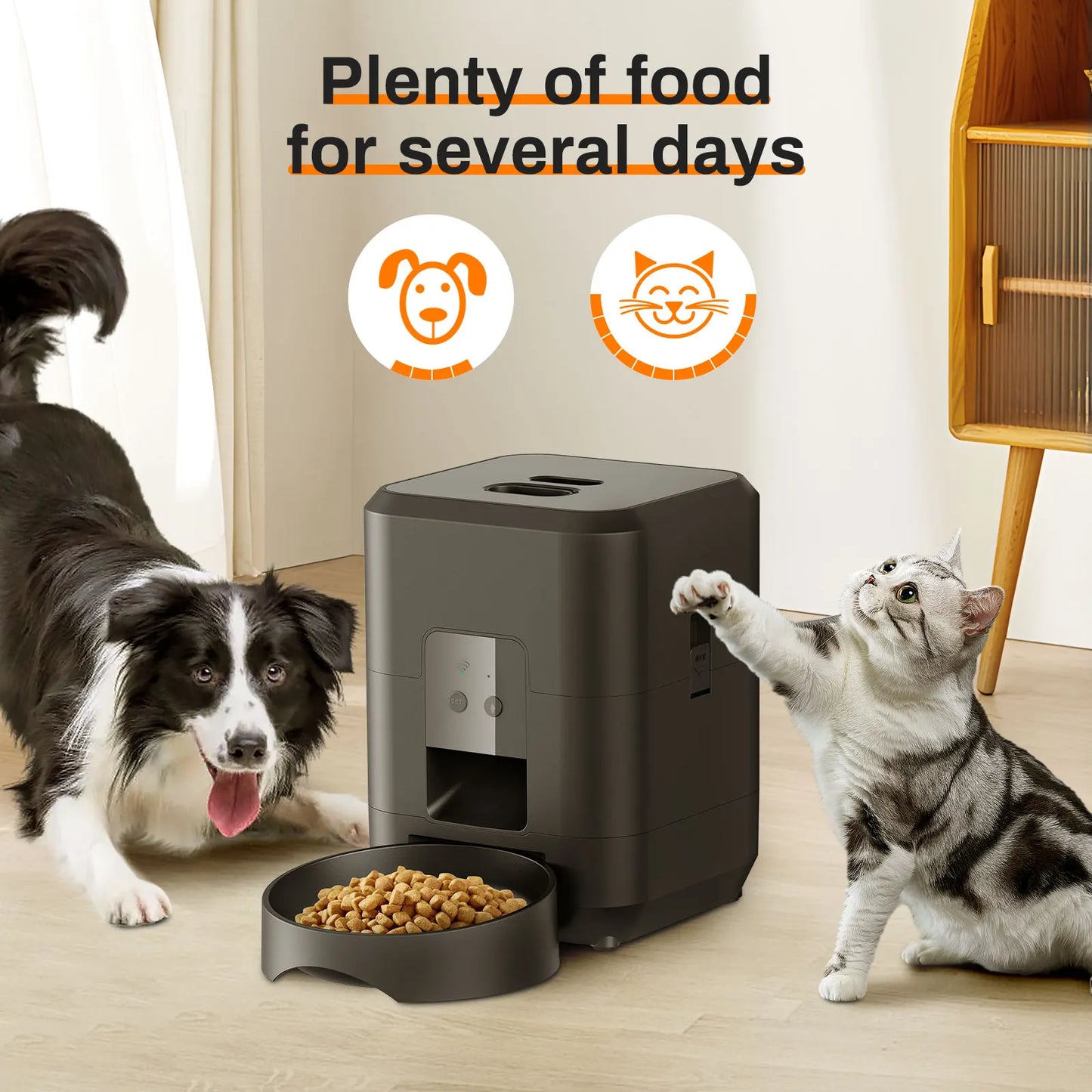 Distributore di cibo automatico per animali